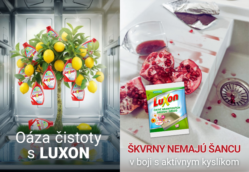 LUXON čistič umývačiek riadu a LUXON čistič granitových drezov